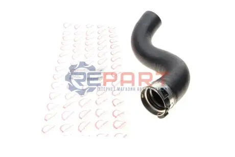 Патрубок інтеркулера Renault Megane III/Scenic III 1.9 dCi 08 ROTWEISS RWS2376 Купити в Україні