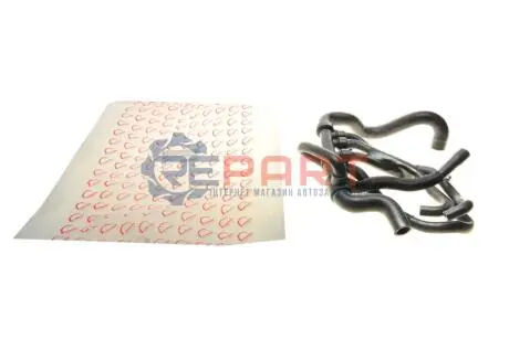 Патрубок радіатора (верхній) Renault Megane/Scenic 1.9dCi 08 ROTWEISS RWS2387 Купити в Україні