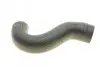 Фото Патрубок інтеркулера Citroen Jumper/Peugeot Boxer 2.0BlueHDi 15-19 ROTWEISS (RWS2420) зображення 3