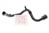Фото Патрубок інтеркулера Renault Fluence/ Scenic III/Megane III 1.5dCi 09 ROTWEISS (RWS2694) зображення 1