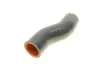 Фото Патрубок інтеркулера Citroen Jumper/Peugeot Boxer 2.0 BlueHDi 15-19 ROTWEISS (RWS2755) зображення 3