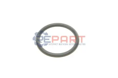 Прокладка колектора впускного Renault Kangoo/Laguna II/Trafic 1.4-2.0 01 ROTWEISS RWS2845 Купити в Україні