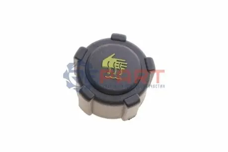 Кришка бачка розширювального Renault Kangoo 97-/Trafic 01- ROTWEISS RWS2900 Купити в Україні