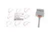 Датчик воды в топливном фильтре Citroen Jumper/Fiat Ducato/Peugeot Boxer 3.0 D/HDi 06- ROTWEISS (RWS3015) изображение 1