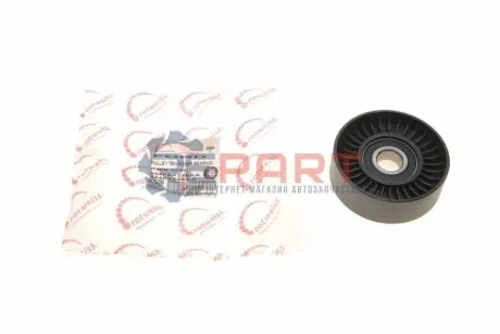 Ролик генератора Ford Transit 2.5 TD 91-00 (паразитний)(76x22.5) ROTWEISS RWS3246 Купити в Україні