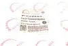 Фото Ролик генератора Ford Transit 2.4 DI/TDCi 00- (паразитний) (76х37) ROTWEISS (RWS3248) зображення 5