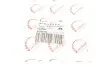 Фото Ролик генератора Ford Transit 2.4 DI/TDCi 00- (паразитний) (76х37) ROTWEISS (RWS3250) зображення 6