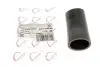 Фото Патрубок інтеркулера Audi A3/Q3/Skoda Super B/VW Caddy III 1.6-2.0TDI 10 ROTWEISS (RWS3615) зображення 3