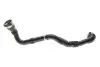 Фото Патрубок турбіни Renault Kangoo 1.5 dCi 08 ROTWEISS (RWS3647) зображення 1