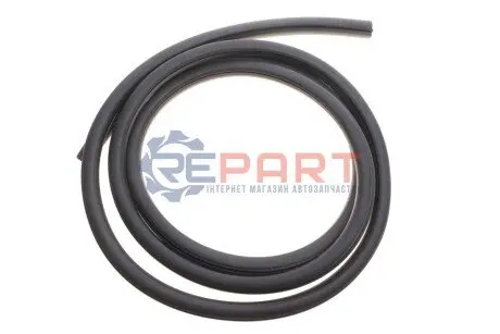 Фото Ущільнювач дверей (передніх) VW T5 03- (R) (зовнішній) ROTWEISS (RWS3737) зображення 1