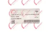 Фото Рейка паливна Renault Megane I-II/Logan 1.4/1.6 96 ROTWEISS (RWS3855) зображення 2