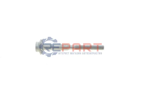 Болт кріплення форсунки VW Caddy 1.6TDI (M6x70.2) ROTWEISS RWS3858 Купити в Україні