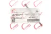 Фото Болт кріплення форсунки VW Caddy 2.0TDI 04-15 ROTWEISS (RWS3867¶) зображення 2
