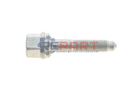 Болт кріплення форсунки Ford Fiesta V/VI 1.4 TDCI 02 ROTWEISS RWS3883 Купить в Украине