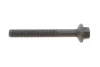 Фото Болт кріплення форсунки Renault Kangoo/Laguna III/Megane 1.5 dCi 02 ROTWEISS (RWS3886) зображення 1