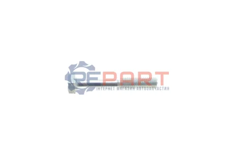 Болт кріплення форсунки VW Caddy II 1.9 TDi 95-04 ROTWEISS RWS3907 Купити в Україні
