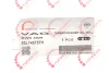 Фото Прокладка турбіни VW Caddy/Skoda Octavia/Seat Leon 1.6TDI 09 ROTWEISS (RWS3928) зображення 2