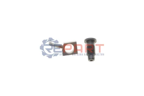 Форсунка масляная VW Passat 1.9 TDI 97-03 ROTWEISS RWS3939