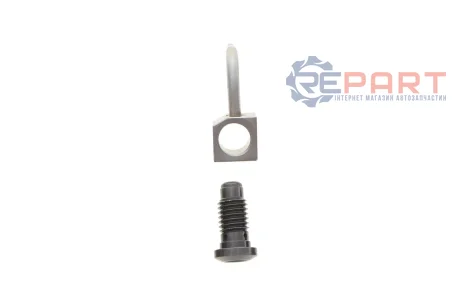 Форсунка масляная VW Touareg 2.5D 03-10 ROTWEISS RWS3941
