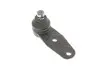 Фото Опора кульова (передня/знизу) Renault Kangoo/Megane 97-/Clio 91-/Nissan Kubistar 03- (d=10mm/16mm) RTS (9300406056) зображення 6