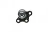 Фото Опора кульова (передня/знизу) Citroen C3 02-/Peugeot 2008 13- (d=18mm) RTS (9300540056) зображення 4