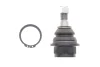 Опора шаровая (передняя/снизу) Ford Transit 00-14/Connect 02 RTS (93-00696-015) изображение 1