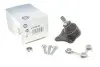 Фото Опора кульова (передня/знизу/L) Audi A3/Seat Toledo/Leon/Skoda Octavia/VW Golf IV 96-10 RTS (9300955256) зображення 1