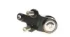 Фото Опора кульова (передня/знизу) Toyota Camry 91-02 RTS (93-02565) зображення 3