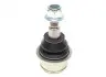 Фото Опора кульова (передня/знизу) Chrysler Sebring 07-10/Dodge Avenger 07-14/Jorney 08- (d=44.5mm) RTS (9302806015) зображення 4