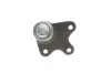 Фото Опора кульова (передня/знизу/L) Seat Cordoba/Ibiza 02-/Skoda Fabia 99-14/Roomster 06-15/VW Polo 01 RTS (9305340256) зображення 4