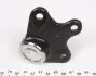 Фото Опора кульова (передня/знизу/L) Audi A2 00-05/Seat/Skoda Fabia 99-14/Roomster 06-15/VW Polo 01 RTS (9395910256) зображення 4