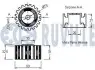 Фото Ролик ГРМ Renault Kangoo/Master II/Megane 1.9D/dTi/dCi 97- (60x31/z=20) RUVILLE (540588) зображення 2