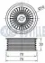 Ролик генератора Renault Megane III/Scenic III 1.2-1.4 12-(паразитний) (75х30.2), H5F/H4J RUVILLE (542216) изображение 2