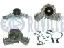 Фото MITSUBISHI Помпа воды Galant, Pajero, Sigma RUVILLE (561342) зображення 1