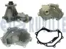 Фото Помпа води Renault Master 3.0dCi 03- (120/160 PS) RUVILLE (561614) зображення 1