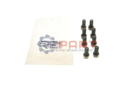 Фото Комплект гвинтів, маховик SACHS (1874000018) зображення 1