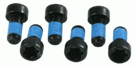 Комплект гвинтів, маховик SACHS 1874000028 Купити в Україні