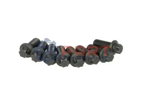 Фото Комплект гвинтів, маховик SACHS (1874 000 030) зображення 1