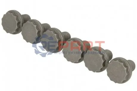 Фото Комплект гвинтів, маховик SACHS (1874000033) зображення 1