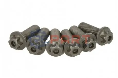 Фото Комплект гвинтів, маховик SACHS (1874000045) зображення 1