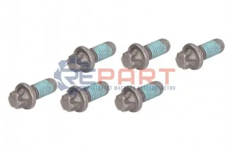 Комплект гвинтів, маховик SACHS 1874000065 Купити в Україні