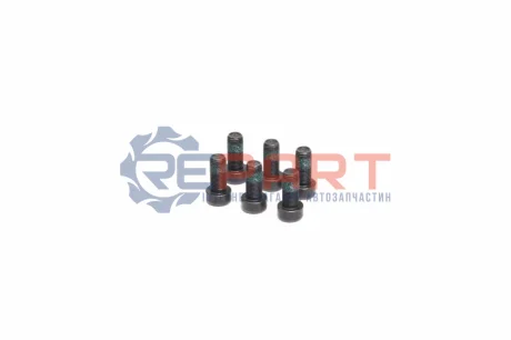 Болти маховика (к-кт 6 шт) VW Caddy 1.9/2.0TDI 03- SACHS 1874 000 089
