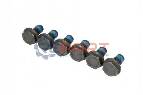 Комплект гвинтів, маховик SACHS 3096 005 000 Купити в Україні