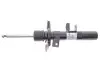 Амортизатор (передній) Ford Focus III 1.0-2.0 12- (L) (B4) 318 722
