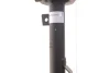 Амортизатор передн Прав FORD FUSION 1.25-1.6D 08.02-12.12 SACHS (560 140) изображение 3