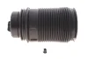 Подушка пневмопідвіски SACHS (992 839) изображение 1