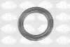 Упорний підшипник амортизатора CITROEN JUMPER I, JUMPER II, JUMPER III FIAT DUCATO PEUGEOT BOXER 1.9D-3.0D 02.94 SASIC (0355395) зображення 1