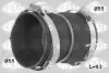 Шланг интеркулера /TURBINY/ CITROEN C2 C3 C4 BERLINGO PEUGEOT 1007 206 3008 307 308 5008 1,6HDI 06- SASIC (3350002) изображение 1