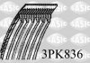 Автозапчастина SASIC 3PK836 (фото 1)