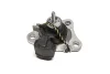 Подушка двигуна (R) Renault Megane I/Scenic I 1.9dTi/dCi 97-03 SASIC (4001770) зображення 1